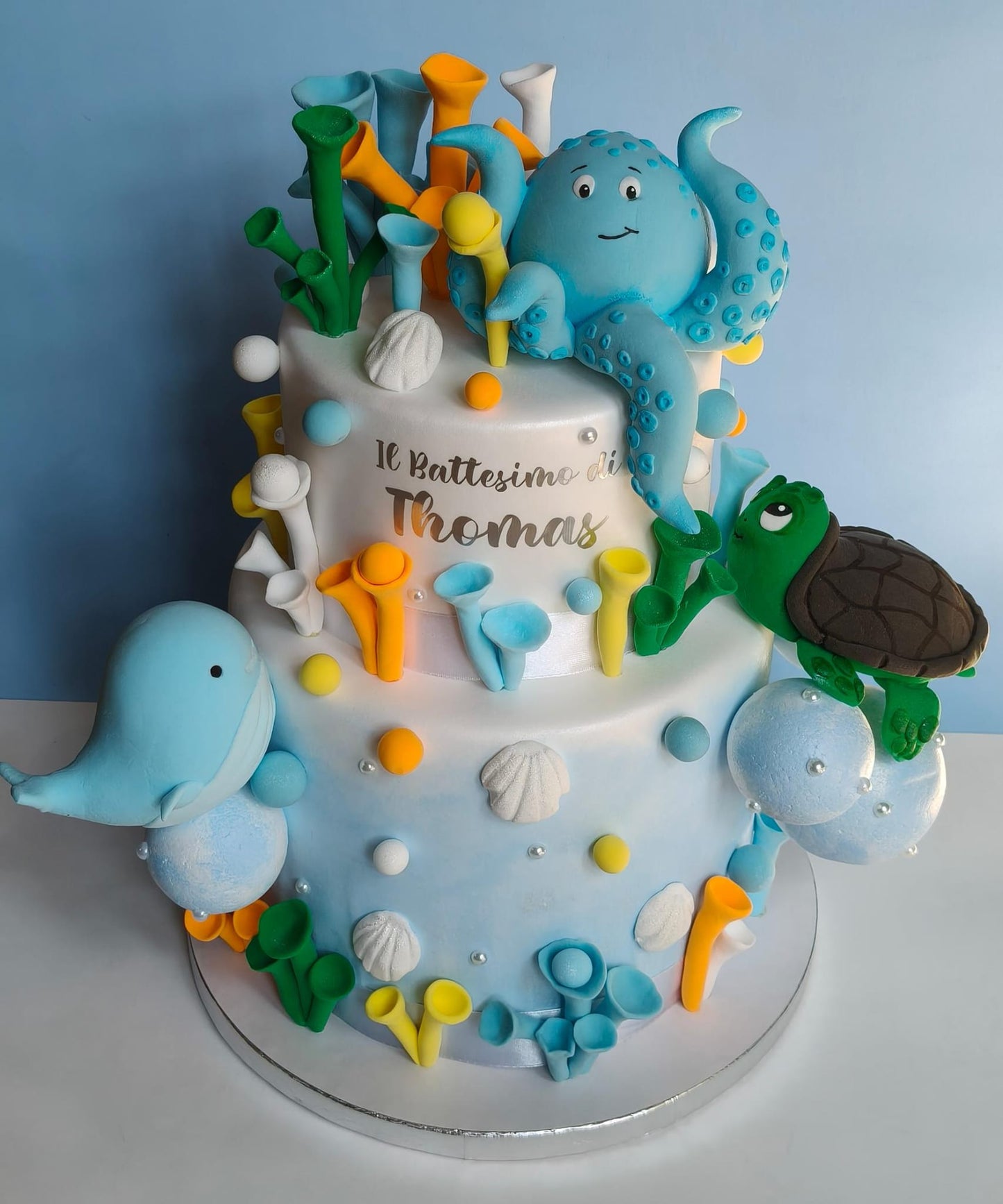 Torta scenografica personalizzata - Artigianale