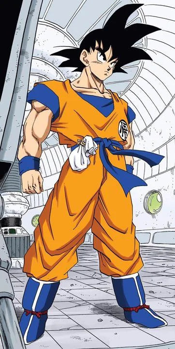 Cosplay sartoriale su misura - Goku Saga di Namek
