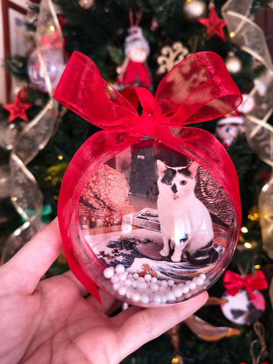 Sfera di natale foto gatto