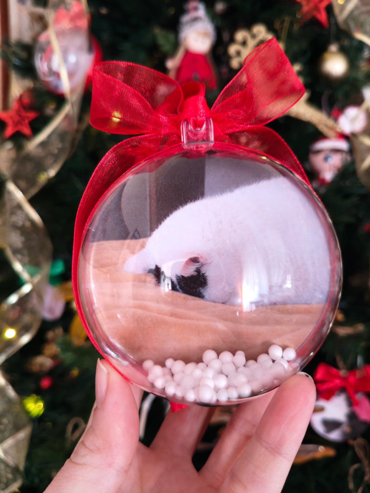 Sfera di natale foto gatto